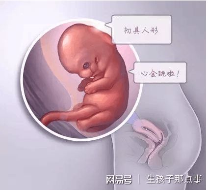 遗传咨询